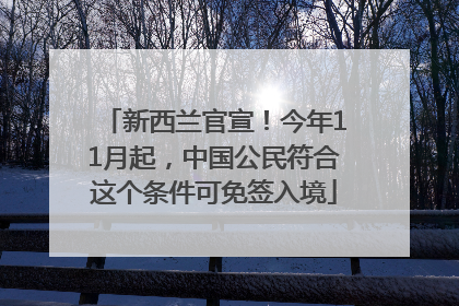 新西兰官宣！今年11月起，中国公民符合这个条件可免签入境